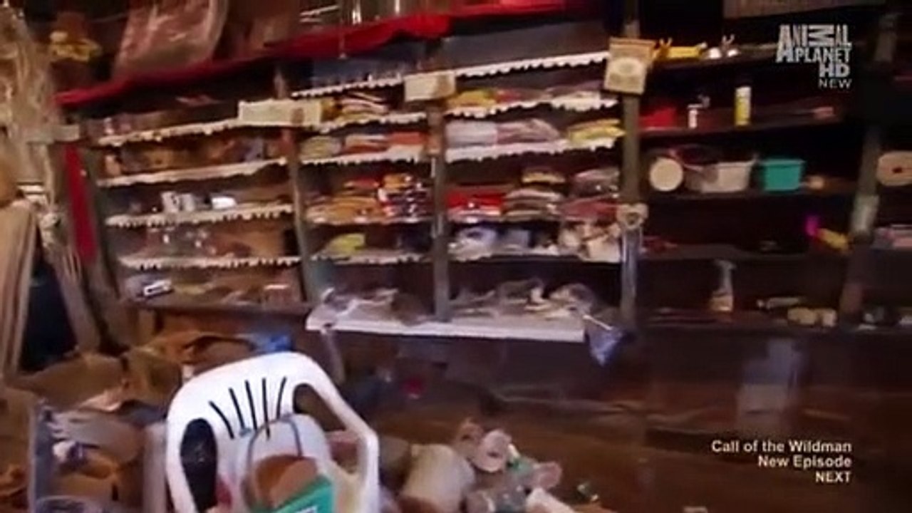 Call of the Wildman - Se1 - Ep05 HD Watch HD Deutsch