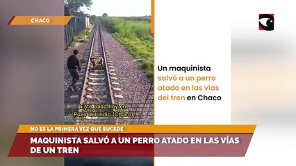 Maquinista salvó a un perro atado en las vías de un tren