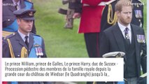 Prince Harry : Fin du suspense, une date très importante révélée... La famille royale peut se préparer !