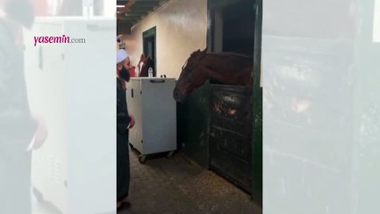 Ata zikir çektiren tarikatçı gündem oldu!