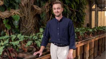 Harry Potter series: Tom Felton earned a cool £14 million. You'll be surprised at how quickly he appeared.
