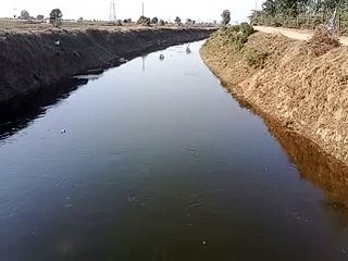video: पांच महीने चलेगा चंबल की नहरों में जलप्रवाह, तीन सौ क्यूसेक छोड़ा पानी