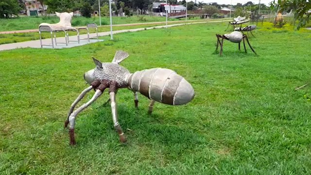Abelhas se alojam dentro de escultura de abelha no Ecopark Oeste e Defesa Civil é mobilizada