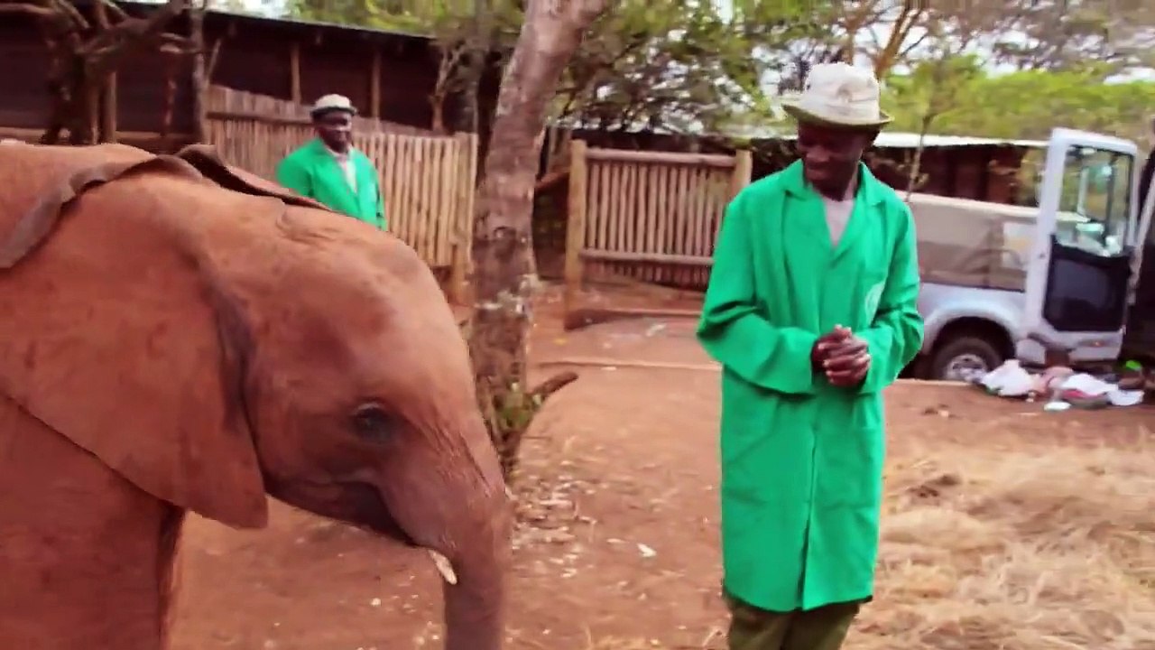 Dodo Heroes - Se2 - Ep03 HD Watch HD Deutsch