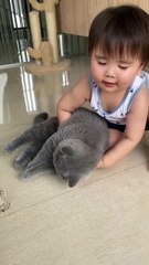 kucing lucu dan anak kecil
