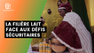 Burkina Faso : La filière lait face aux défis sécuritaires