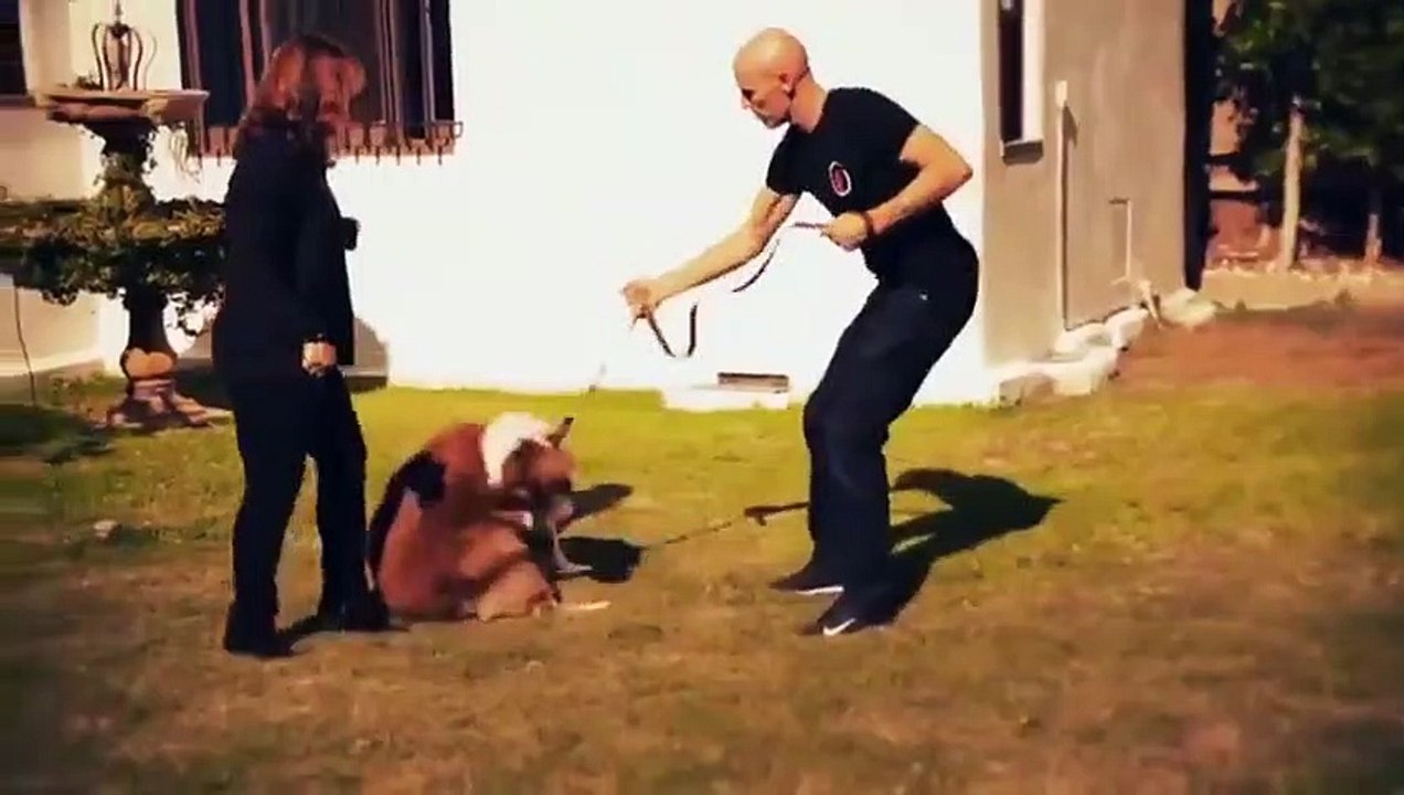 Dog - Impossible - Se1 - Ep01 - The Tormentor HD Watch HD Deutsch