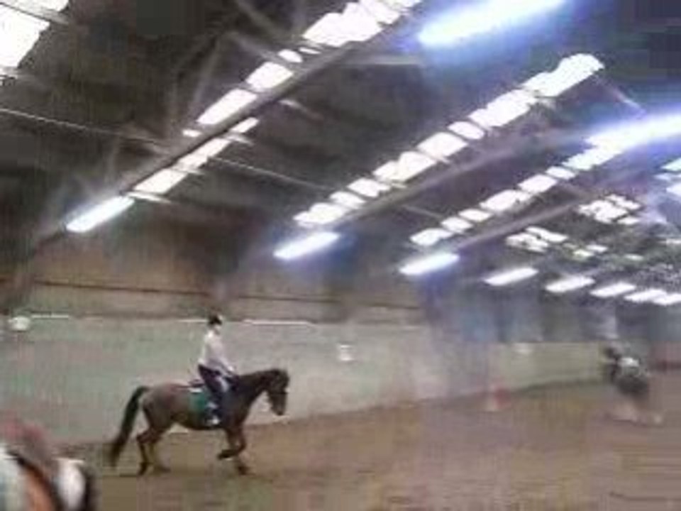 Video1