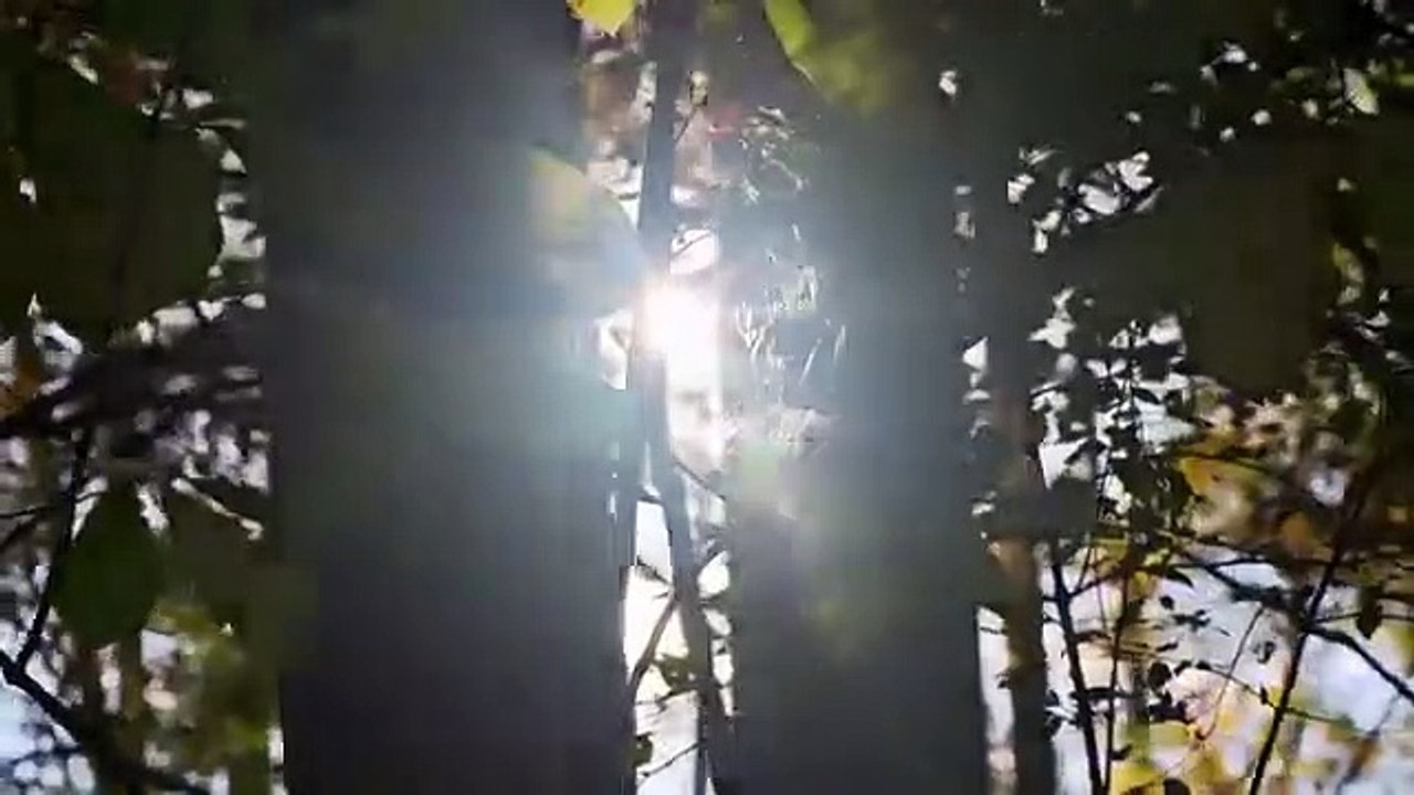 Dead Of Night - Se1 - Ep01 - Back From the Dead HD Watch HD Deutsch