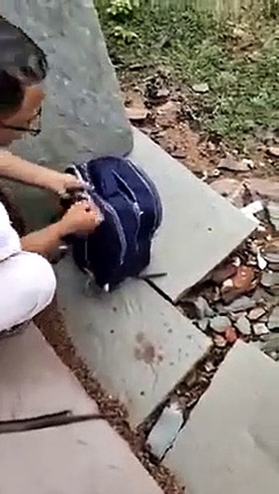 Cette fille ramène un copain très particulier dans son sac d'école