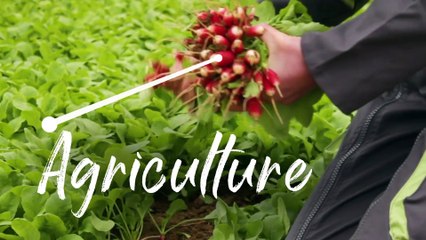 Cette semaine le magazine Voyons Voir s'intéresse aux entreprises du patrimoine vivant !
