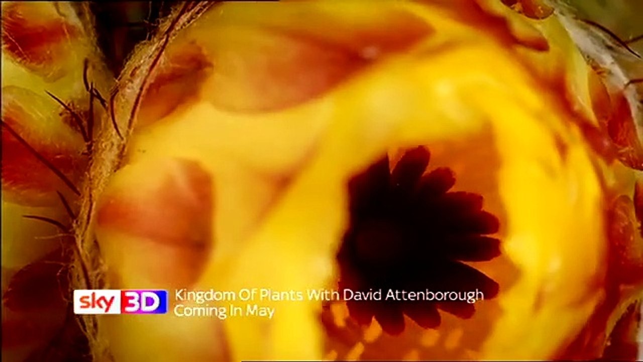 Kingdom of Plants 3D Saison 0 - Trailer 2 (EN)