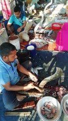 Exclusive Fish Cutting and Massive Fish Cutting Experience