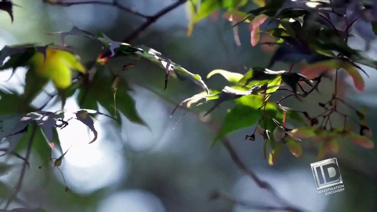 Grave Secrets - Se1 - Ep10 - What My Mother Knew HD Watch HD Deutsch