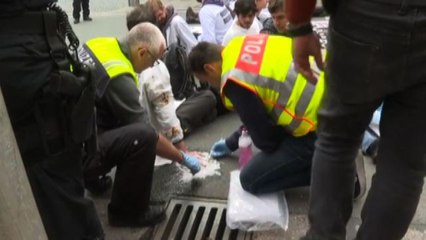 Clima, la protesta degli scienziati "ribelli" a colpi di colla