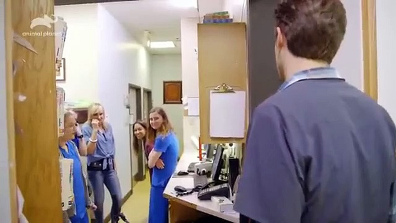 Hanging with the Hendersons - Se1 - Ep01 HD Watch HD Deutsch