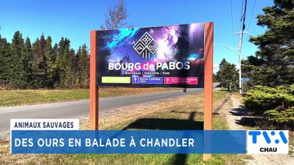 TVA Nouvelles CHAU 12h 27 octobre 2022