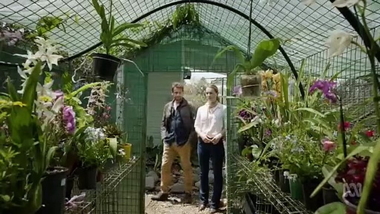 Harrow - Se1 - Ep07 - Pia Mater HD Watch HD Deutsch