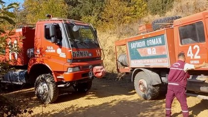 Çıkan orman yangını söndürüldü