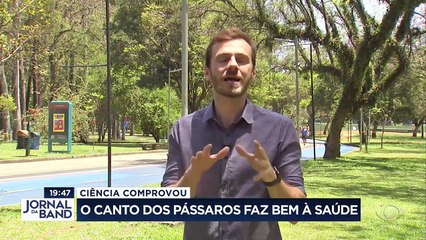 Ciência comprova: ouvir canto dos pássaros faz bem à saúde 27/10/2022 15:18:08