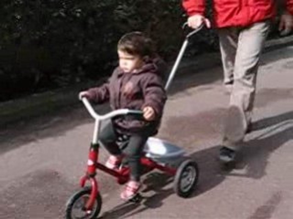 Toboggan3