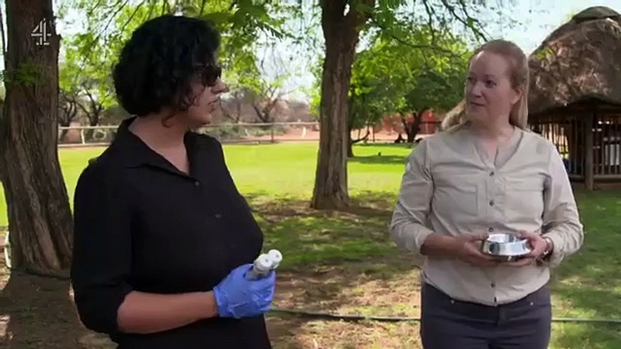 Work on the Wild Side - Se1 - Ep07 HD Watch HD Deutsch