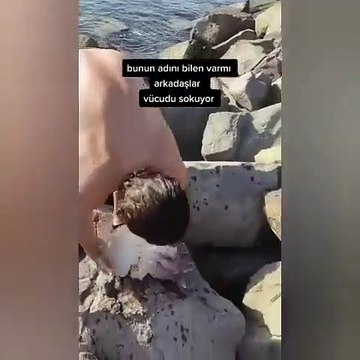 Deniz anasını ahtapot sanınca başına gelmeyen kalmadı