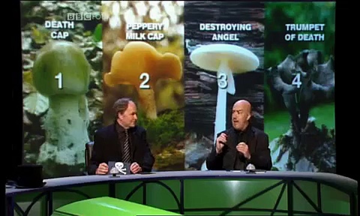 QI XL Se4 - Ep05 HD Watch HD Deutsch