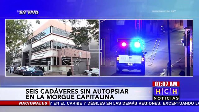 Pendientes de autopsia seis cadáveres ingresados a Medicina Forense