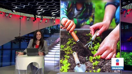 Huerto familiar se convirtió en un negocio durante la pandemia