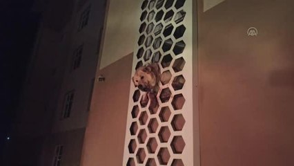 Kafası demir korkuluğa sıkışan köpek kurtarıldı