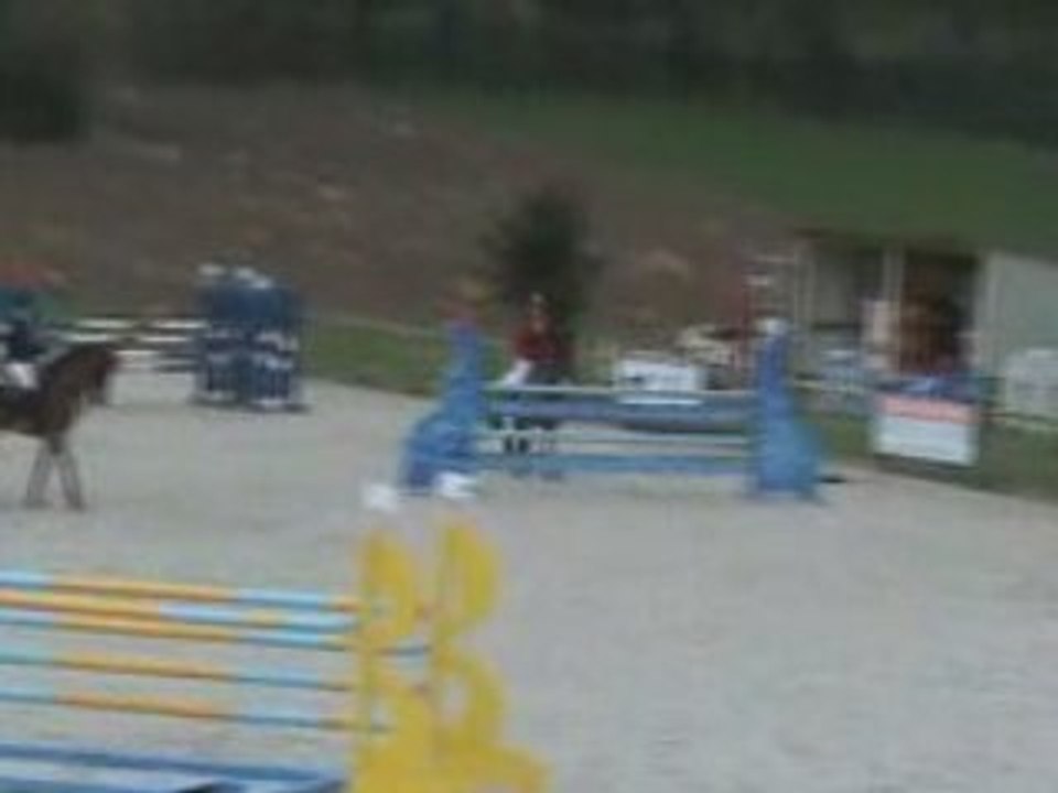 JENNIFER SUBTIL   FLYING WELSH MAN