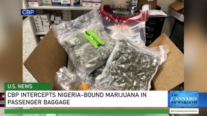 CBP Intercepts Nigeria-Bound Marijuana in Passenger Baggage