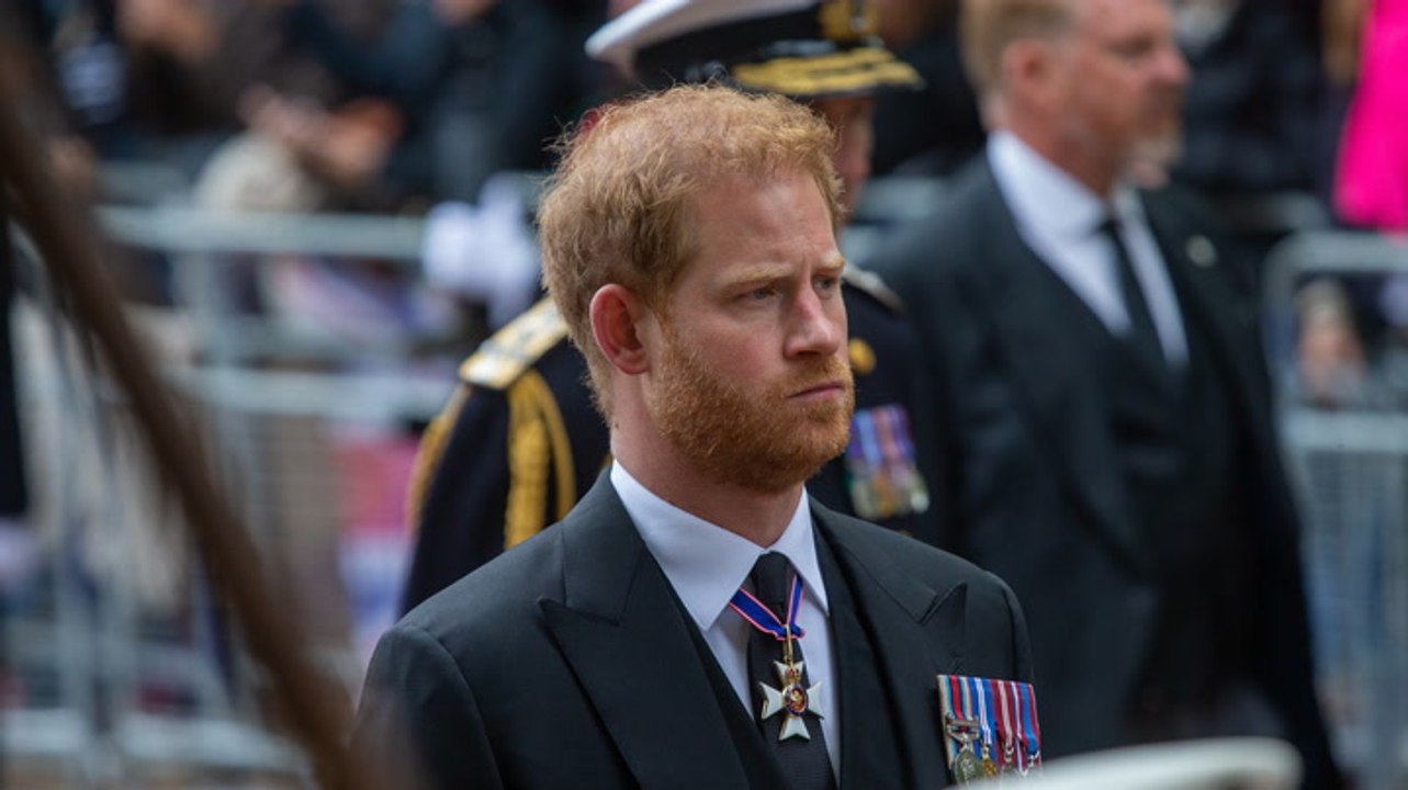 Prinz Harry: Provokanter Titel seines Buches - so sieht es aus