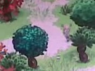 mes persos de dofus