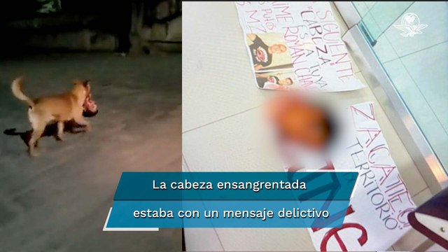 Con una cabeza humana en el hocico, así captaron a un perro en Zacatecas