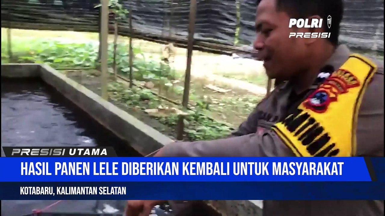 Perkuat Ketahanan Pangan, Bhabinkamtibmas Polres Kotabaru Laksanakan Panen Kedua Budidaya Ikan Air Tawar
