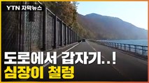 [자막뉴스] 일본에서 잇따르는 사고...기차 운행 중단 사태까지 / YTN