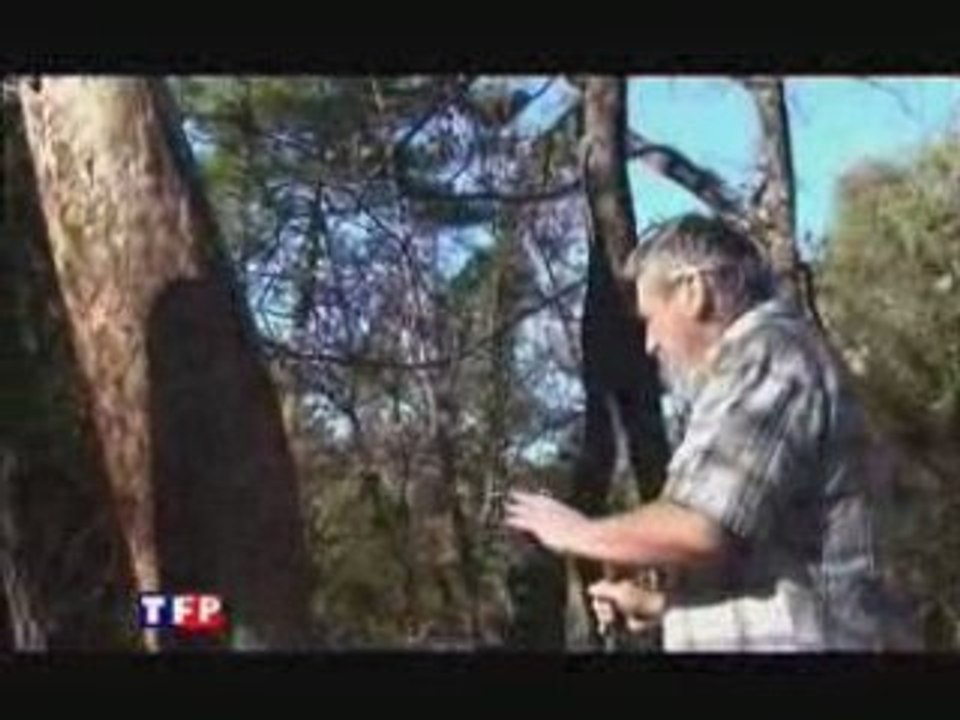 [FF1J 2008 - TEASER] Les 4 a Strophes