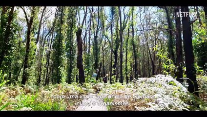 Curta Essa com Zac Efron: Austrália | Trailer oficial | Netflix