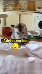 VID-20221010-WA0057