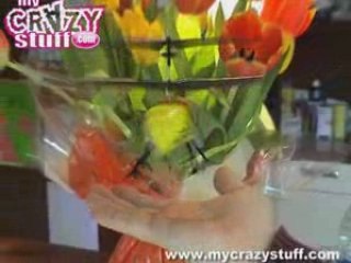 Pepi bourdon radiocommandé - mycrazystuff