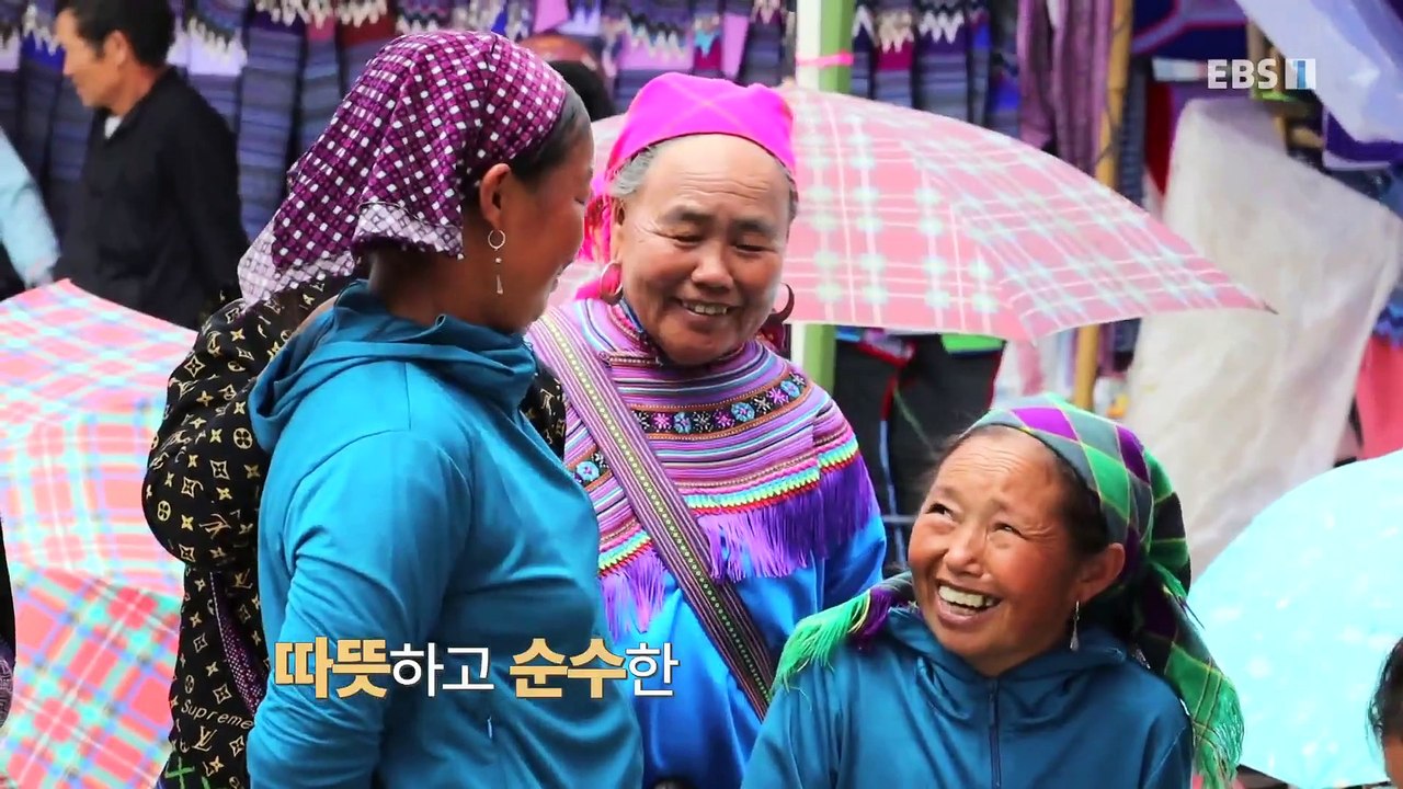 세계테마기행 - 나만 믿고 따라와, 베트남- 24시간이 모자라, 다낭, 후에_#001