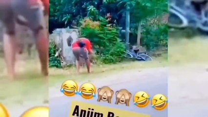 Funny Videos Make Laugh || The Behavior of Earthlings Makes Stomach Pain || funny Comedy Videos