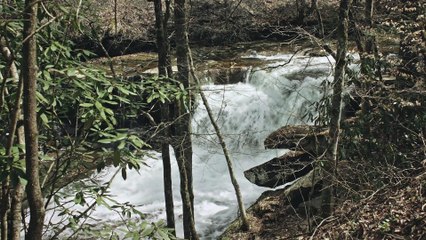 Desastre bajo tierra - Trailer doblado