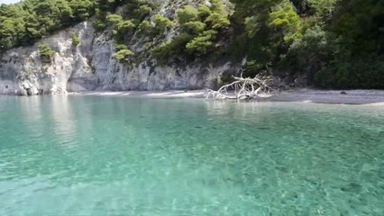 Sea waves & beach drone video - Free HD Video -