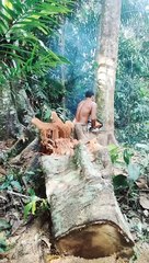 Tahap pembuatan kandang kambing