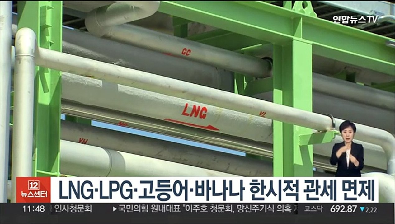 LNG·LPG·고등어·바나나 한시적 관세 면제
