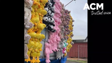 Warrnambool Show preview 2022 - October 28, 2022 - The Standard