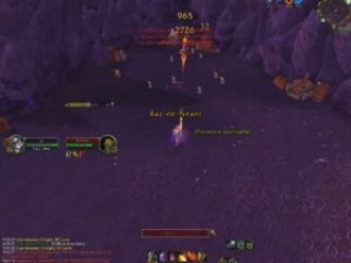 Mage dps bug